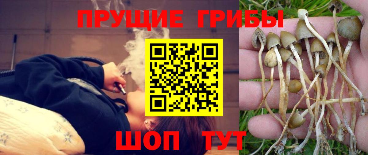 Галлюциногенные грибы ЛСД Алексеевка